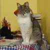 Отзыв от Елизавета Евсеева